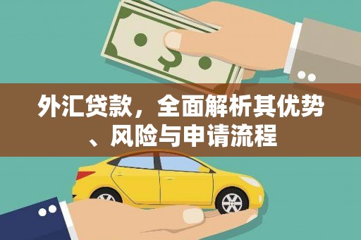 关山外汇贷款，全面解析其优势、风险与申请流程