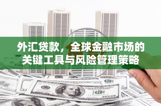 关山外汇贷款，全球金融市场的关键工具与风险管理策略