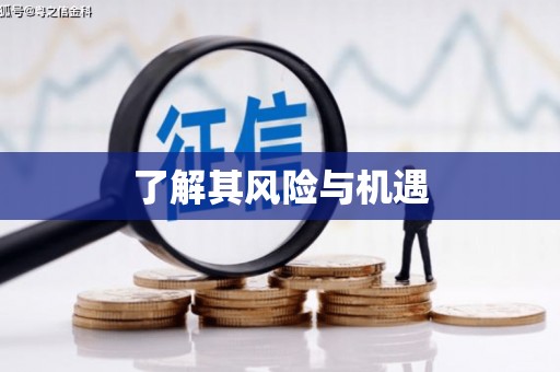 关山了解其风险与机遇