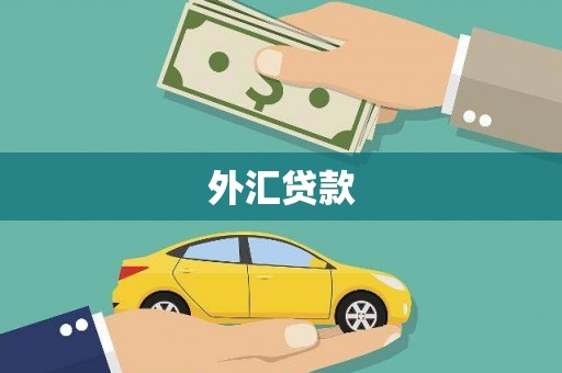 关山外汇贷款