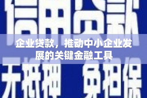 关山企业贷款，推动中小企业发展的关键金融工具