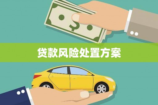 关山贷款风险处置方案