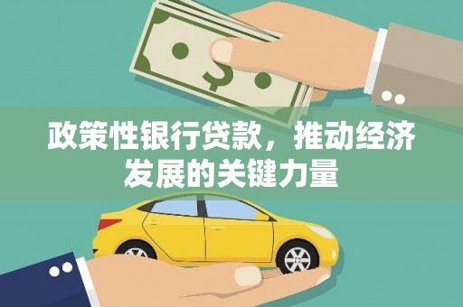 关山政策性银行贷款，推动经济发展的关键力量