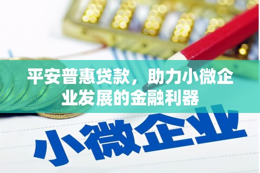 关山平安普惠贷款，助力小微企业发展的金融利器