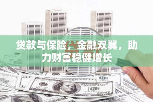 关山贷款与保险，金融双翼，助力财富稳健增长