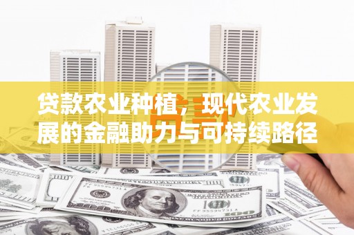 关山贷款农业种植，现代农业发展的金融助力与可持续路径