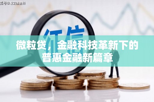 关山微粒贷，金融科技革新下的普惠金融新篇章