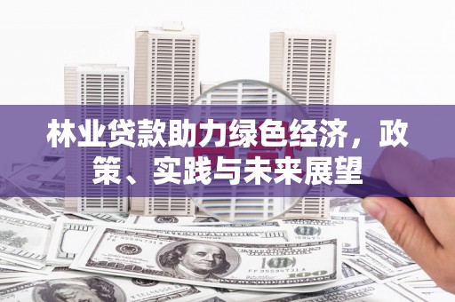 关山林业贷款助力绿色经济，政策、实践与未来展望