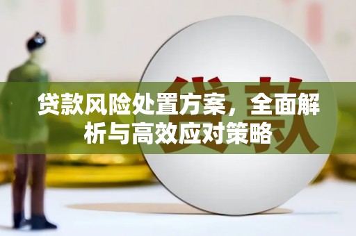关山贷款风险处置方案，全面解析与高效应对策略