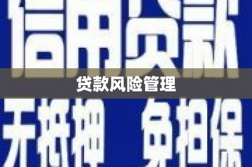 关山贷款风险管理