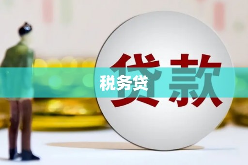关山税务贷