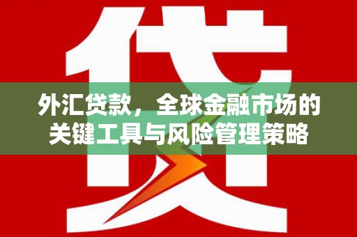 关山外汇贷款，全球金融市场的关键工具与风险管理策略