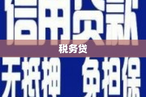 关山税务贷