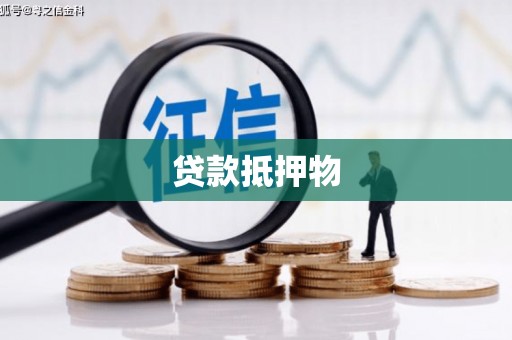 关山贷款抵押物