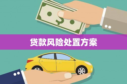 关山贷款风险处置方案
