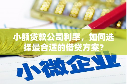 关山小额贷款公司利率，如何选择最合适的借贷方案？