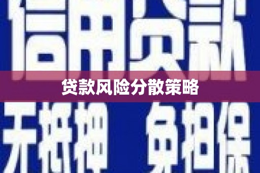 关山贷款风险分散策略