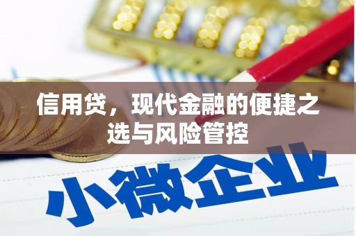 关山信用贷，现代金融的便捷之选与风险管控