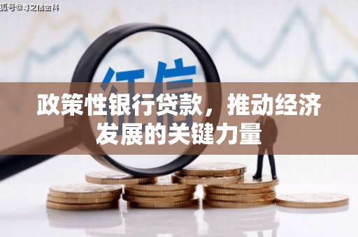 关山政策性银行贷款，推动经济发展的关键力量