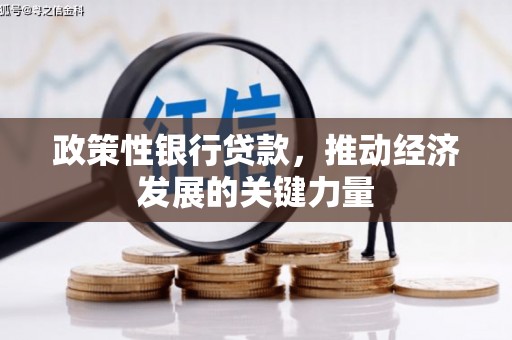 关山政策性银行贷款，推动经济发展的关键力量
