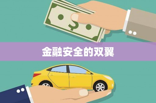 关山金融安全的双翼