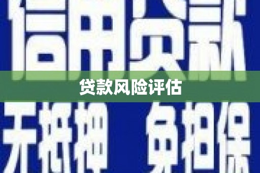 关山贷款风险评估