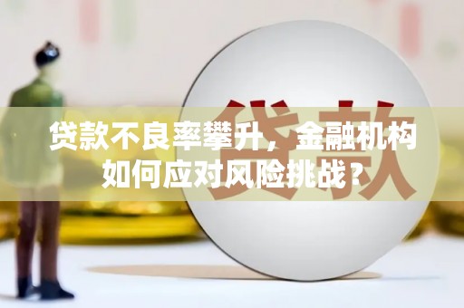关山贷款不良率攀升，金融机构如何应对风险挑战？