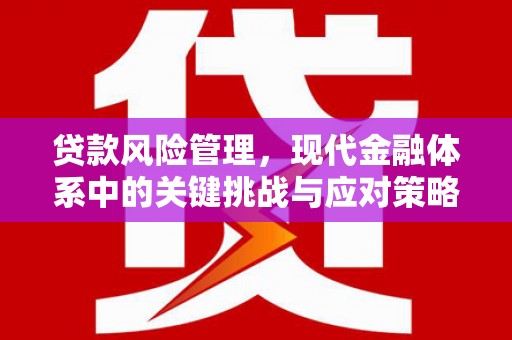 关山贷款风险管理，现代金融体系中的关键挑战与应对策略