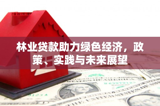 关山林业贷款助力绿色经济，政策、实践与未来展望