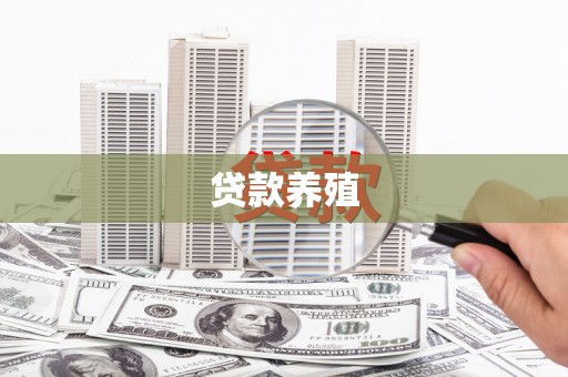 关山贷款养殖