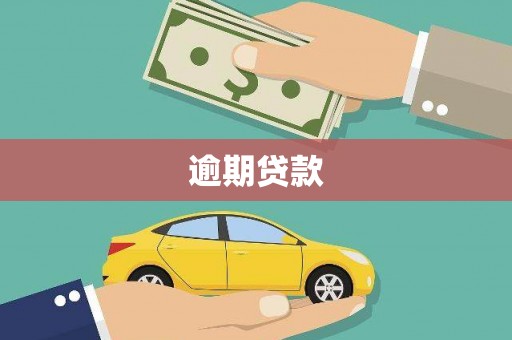 关山逾期贷款