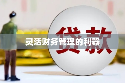 关山灵活财务管理的利器