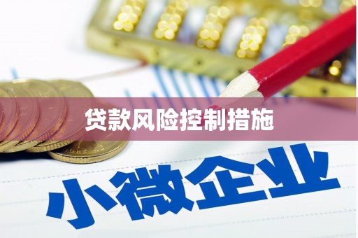 关山贷款风险控制措施