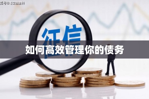 关山如何高效管理你的债务