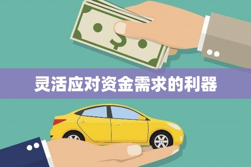 关山灵活应对资金需求的利器