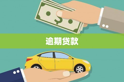 关山逾期贷款